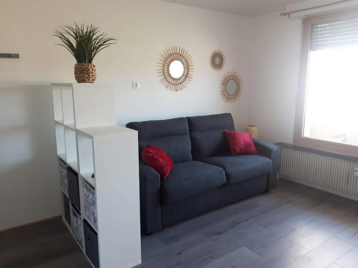 Gambetta Insolite Apartment Chambery 0*,